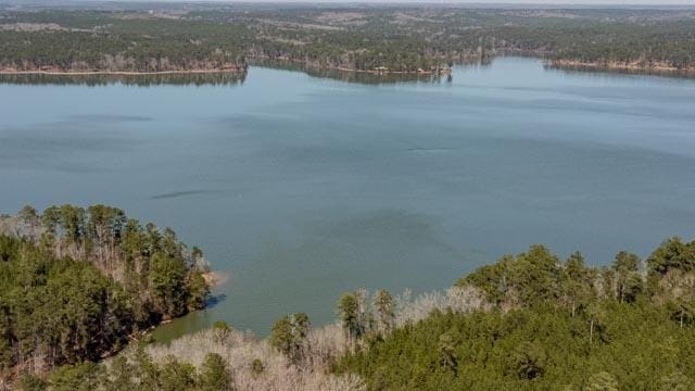 1139 Hester S Ferry Rd, Tignall, GA 30668 - photo 2