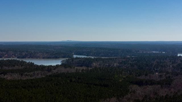 1139 Hester S Ferry Rd, Tignall, GA 30668 - photo 25