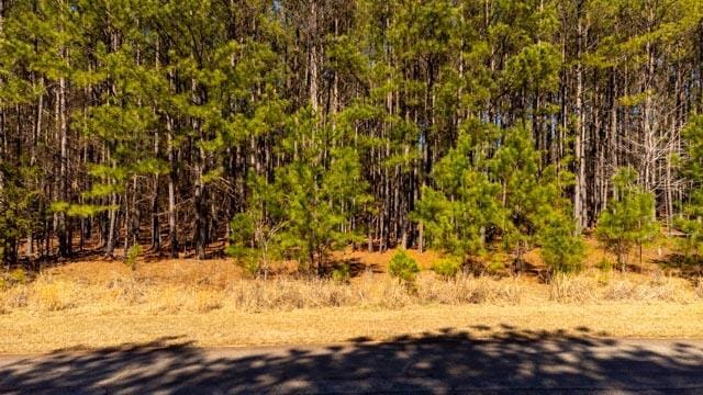 1139 Hester S Ferry Rd, Tignall, GA 30668 - photo 32