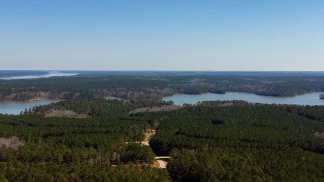1139 Hester S Ferry Rd, Tignall, GA 30668 - photo 6