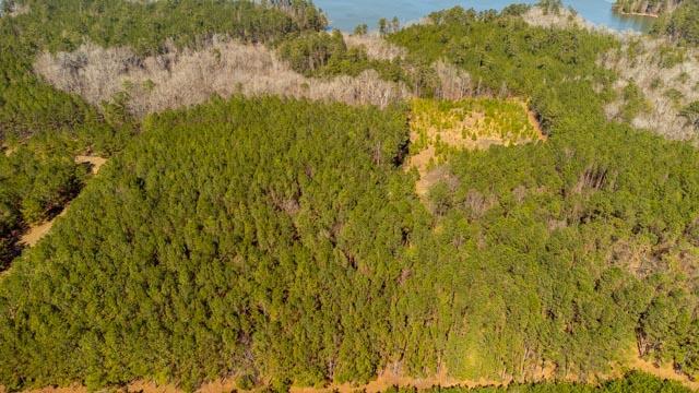 1139 Hester S Ferry Rd, Tignall, GA 30668 - photo 26