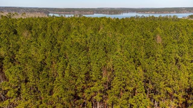 1139 Hester S Ferry Rd, Tignall, GA 30668 - photo 30