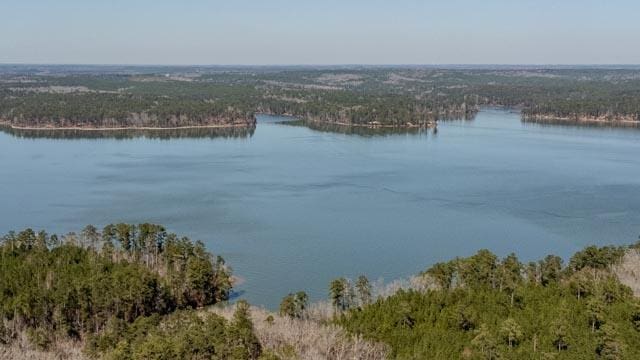 1139 Hester S Ferry Rd, Tignall, GA 30668 - photo 19