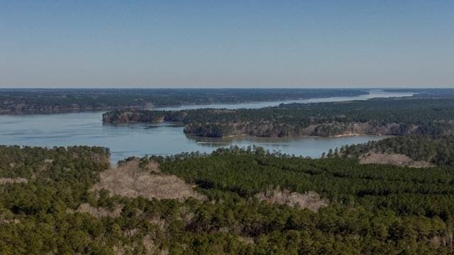 1139 Hester S Ferry Rd, Tignall, GA 30668 - photo 4