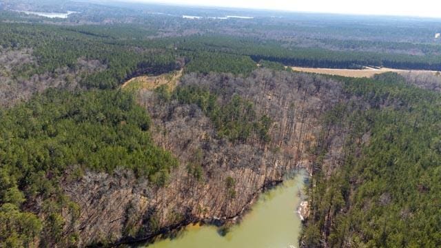 1139 Hester S Ferry Rd, Tignall, GA 30668 - photo 11