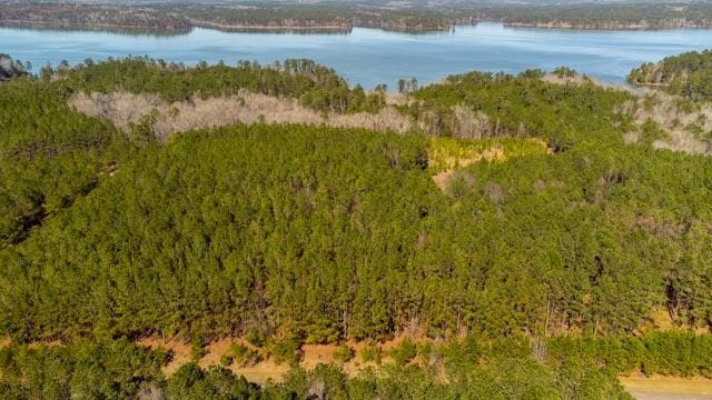 1139 Hester S Ferry Rd, Tignall, GA 30668 - photo 29
