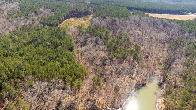 1139 Hester S Ferry Rd, Tignall, GA 30668 - photo 12