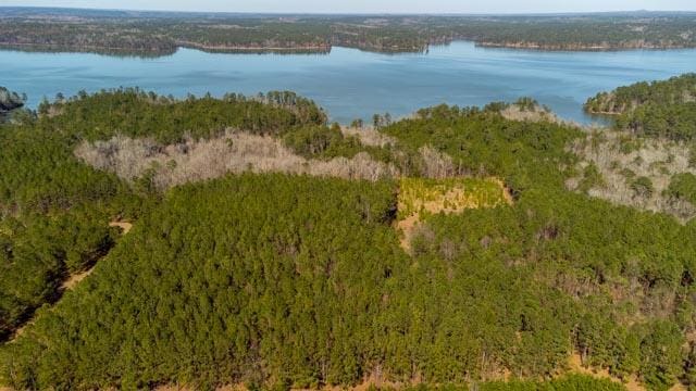 1139 Hester S Ferry Rd, Tignall, GA 30668 - photo 27