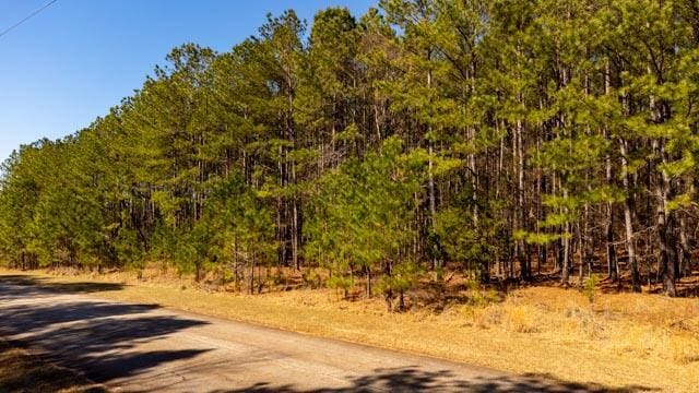 1139 Hester S Ferry Rd, Tignall, GA 30668 - photo 31