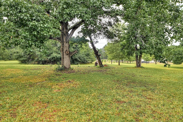 953 Haverhill Dr, Harlem, GA 30814 - photo 25