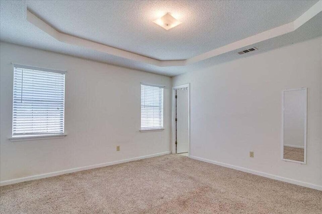 carpeted spare room featuring a tray ceiling, a wealth of natural light, and a textured ceiling