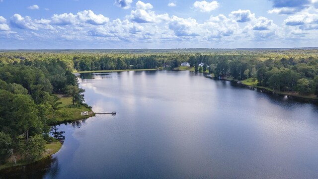 LOT2B Wexford Mill Dr, Wagener, SC 29164 - photo 16