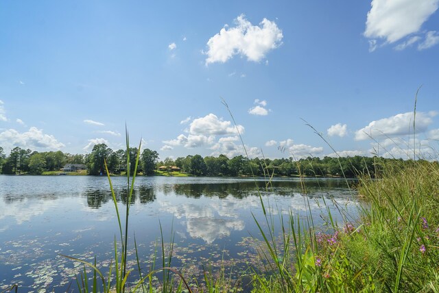 LOT2B Wexford Mill Dr, Wagener, SC 29164 - photo 13