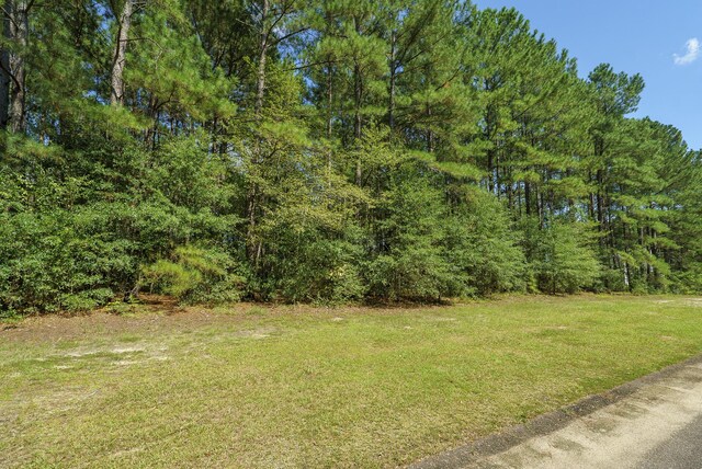 LOT2B Wexford Mill Dr, Wagener, SC 29164 - photo 5
