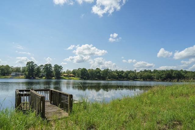 LOT2B Wexford Mill Dr, Wagener, SC 29164 - photo 20