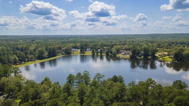 LOT2B Wexford Mill Dr, Wagener, SC 29164 - photo 9