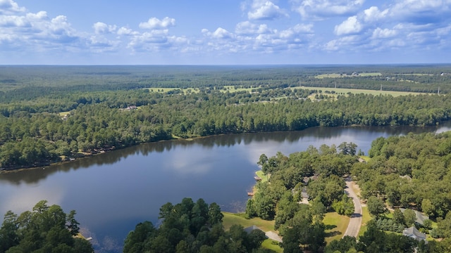 LOT2B Wexford Mill Dr, Wagener, SC 29164 - photo 8