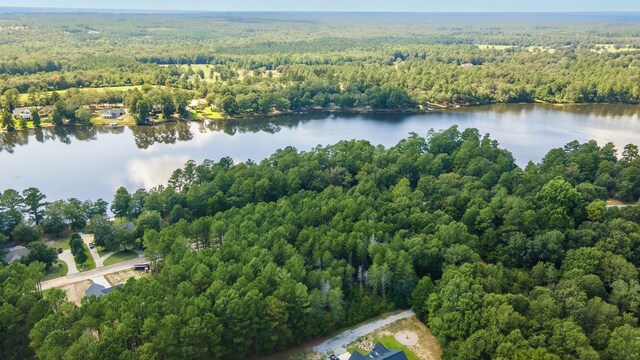 LOT2B Wexford Mill Dr, Wagener, SC 29164 - photo 7