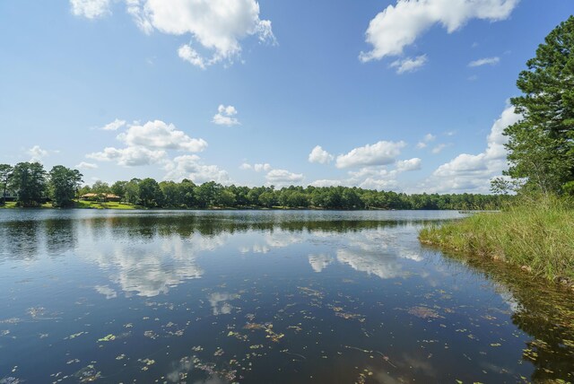 LOT2B Wexford Mill Dr, Wagener, SC 29164 - photo 11