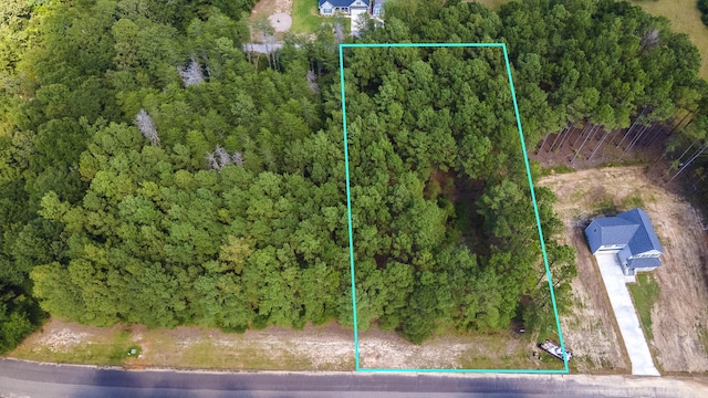 LOT2B Wexford Mill Dr, Wagener, SC 29164 - photo 2