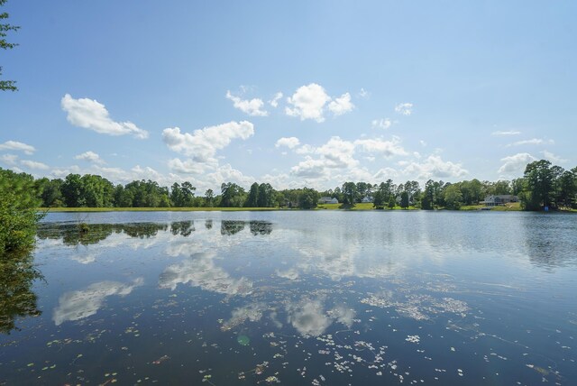 LOT2B Wexford Mill Dr, Wagener, SC 29164 - photo 12