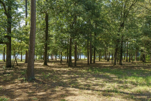LOT2B Wexford Mill Dr, Wagener, SC 29164 - photo 19