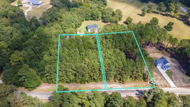 LOT2B Wexford Mill Dr, Wagener, SC 29164 - photo 6