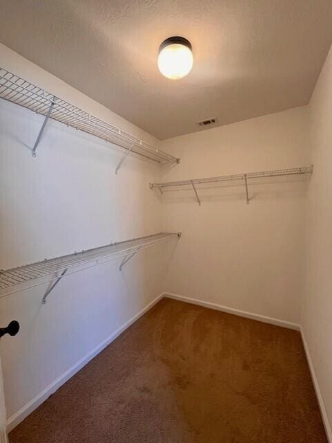 510 Lory Ln, Grovetown, GA 30813 - walk in closet featuring carpet floors