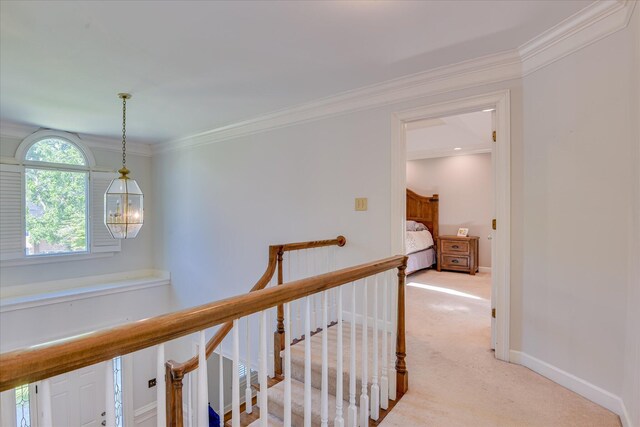 819 Cape Cod Ct, Evans, GA 30809 - corridor with an upstairs landing, light carpet, and crown molding