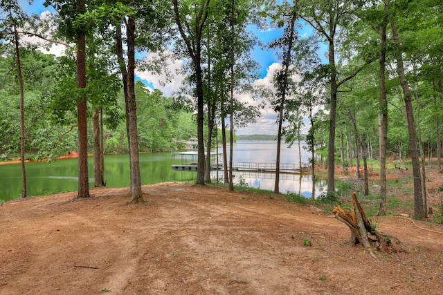 1127 Savannah Ridge Rd, Lincolnton, GA 30817 - photo 69