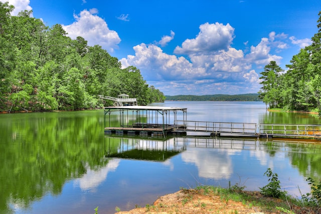 1127 Savannah Ridge Rd, Lincolnton, GA 30817 - photo 70