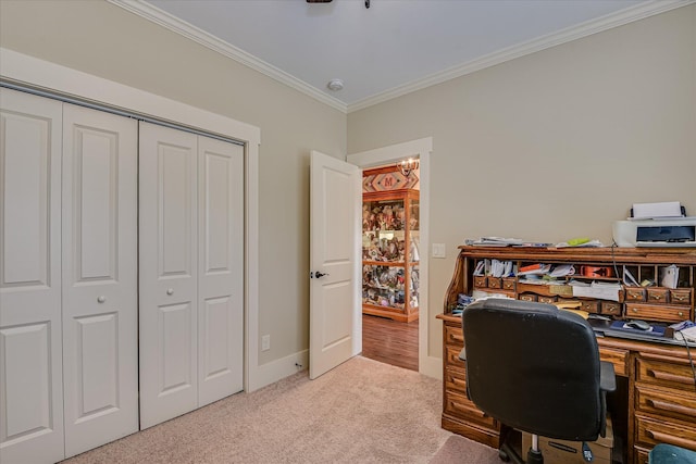 office featuring baseboards, carpet, and ornamental molding