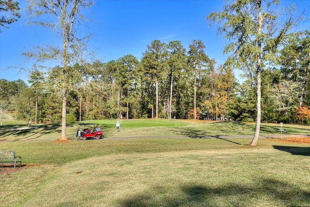 view of community featuring a yard