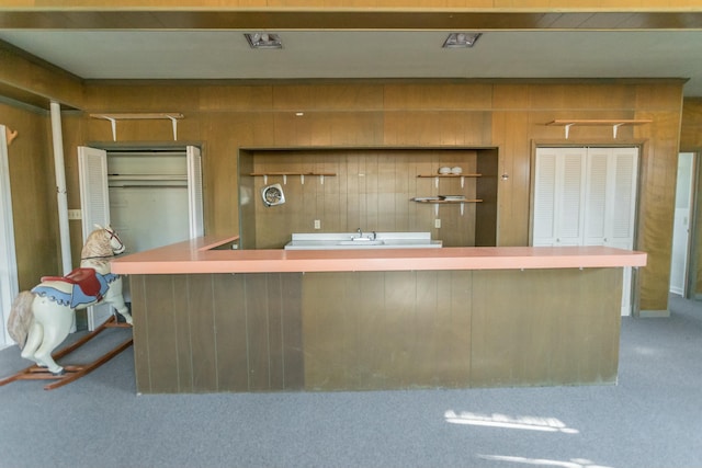 kitchen featuring carpet and wooden walls