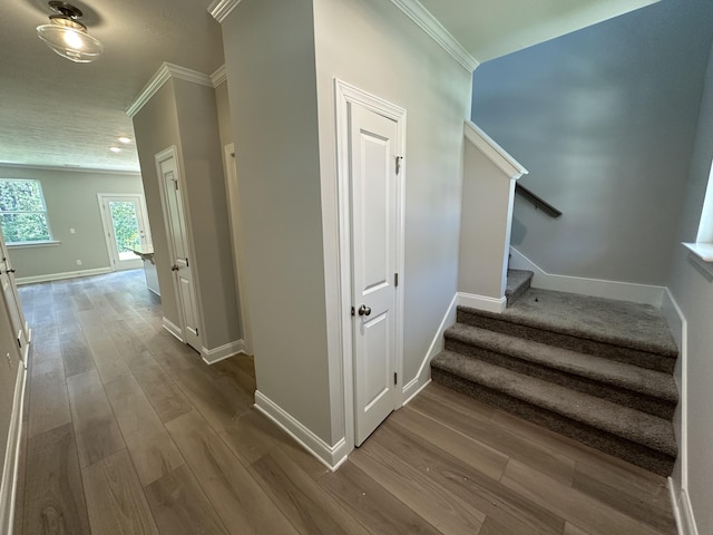 124 Candleberry Dr, North Augusta, SC 29860 - photo 3