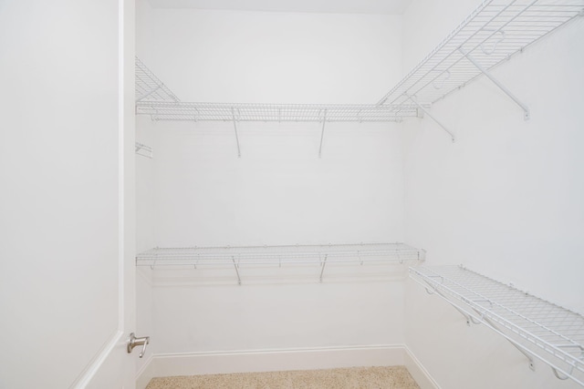 view of walk in closet