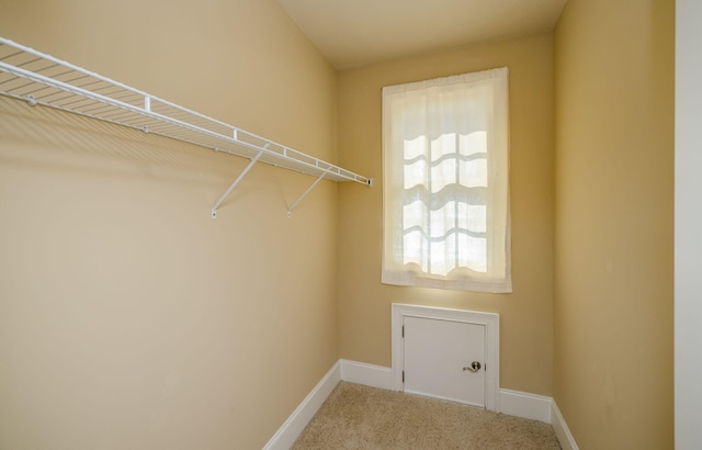 laundry area with carpet flooring