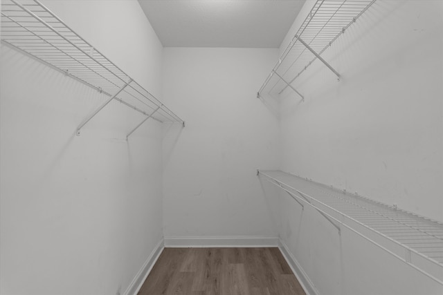 532 Nassau Pass, North Augusta, SC 29860 - photo 35