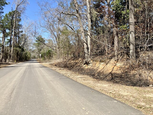 321 Railroad Ave, Grovetown, GA 30813 - photo 3