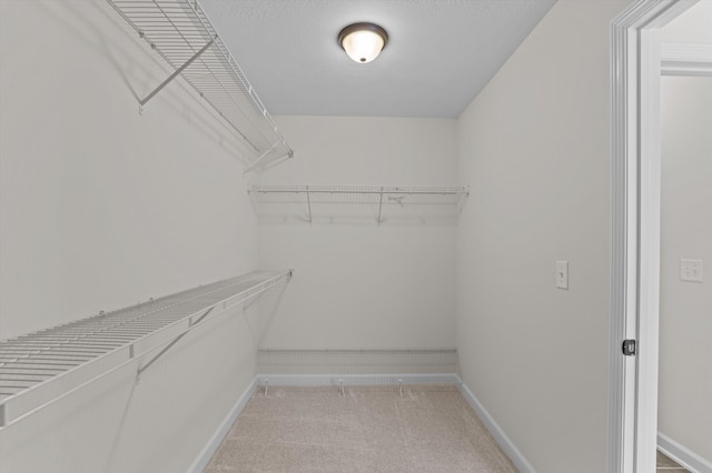 1606 Cedar Hill Dr, Grovetown, GA 30813 - walk in closet featuring light colored carpet