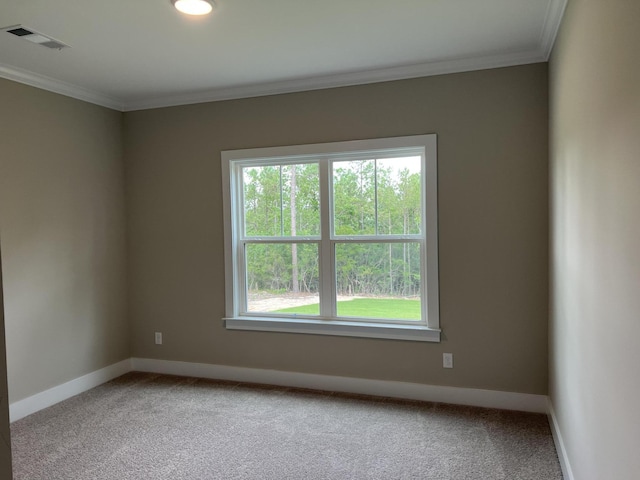 8048 Crossbow Lndg, Graniteville, SC 29829 - empty room featuring light carpet, ornamental molding, and baseboards