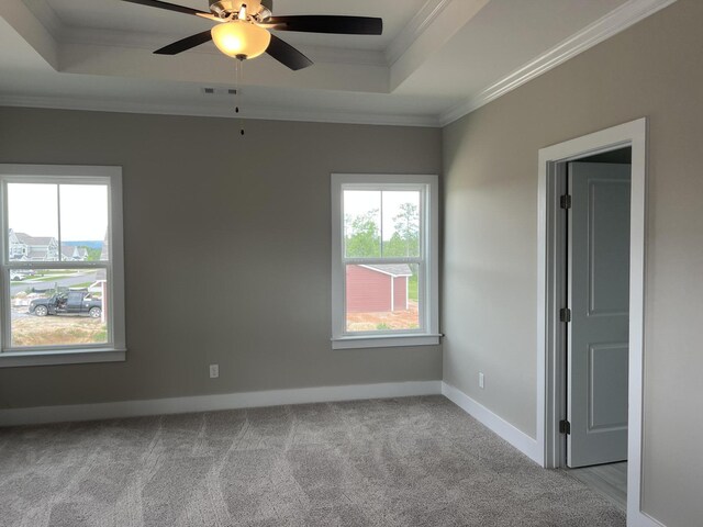 8048 Crossbow Lndg, Graniteville, SC 29829 - carpeted spare room with a raised ceiling, crown molding, a ceiling fan, and baseboards