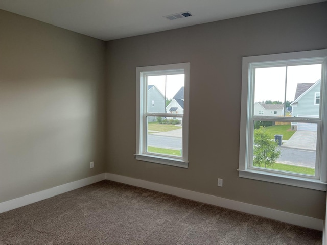 8048 Crossbow Lndg, Graniteville, SC 29829 - unfurnished room featuring plenty of natural light, carpet, and baseboards