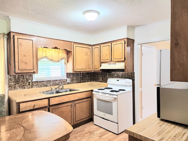 kitchen with sink, crown molding, a textured ceiling, white range with electric stovetop, and light hardwood / wood-style floors