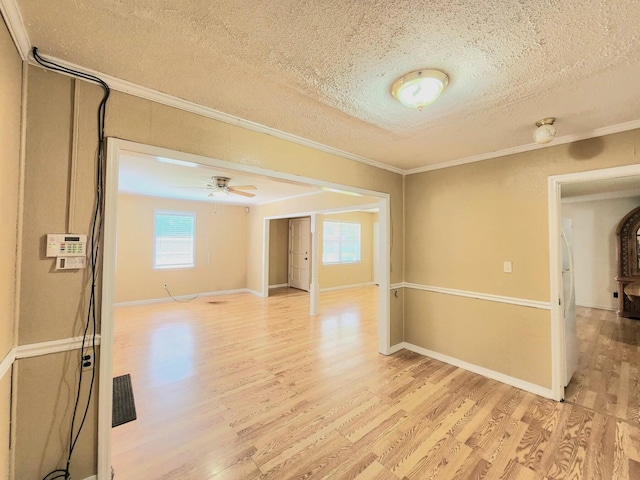 unfurnished room featuring a wealth of natural light, crown molding, light hardwood / wood-style floors, and a textured ceiling