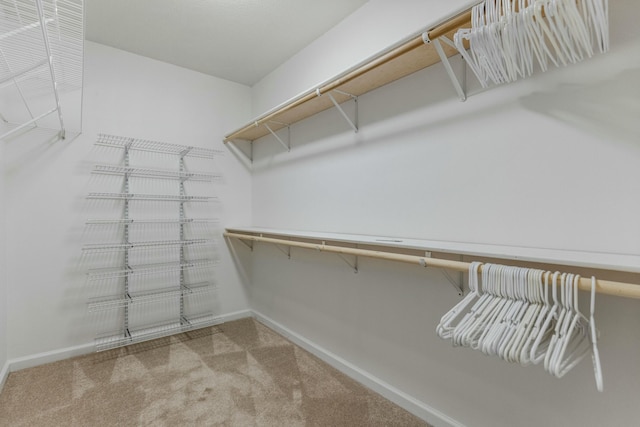 walk in closet featuring carpet flooring