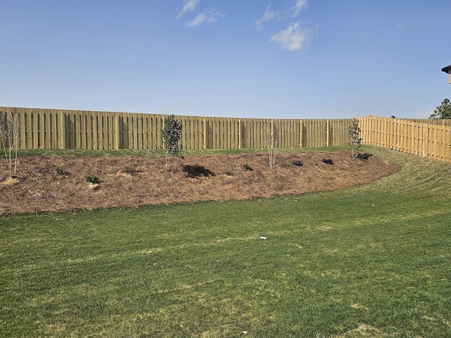 view of yard featuring a fenced backyard