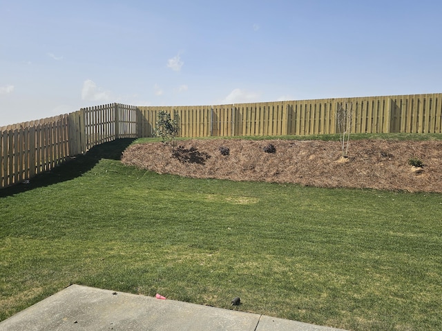 view of yard featuring a fenced backyard