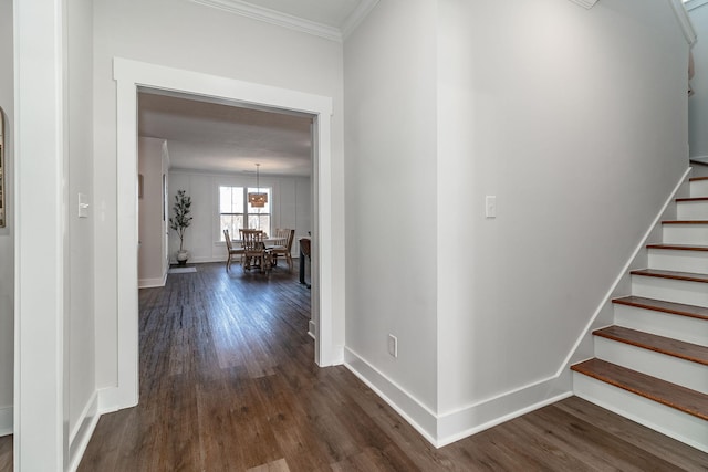 hallway with ornamental molding, dark wood-type flooring, stairway, and baseboards