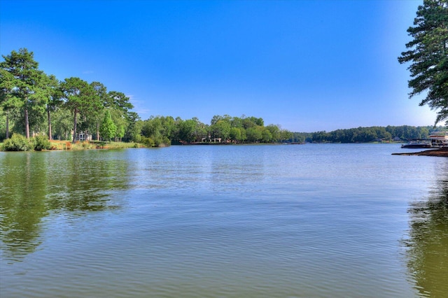 property view of water